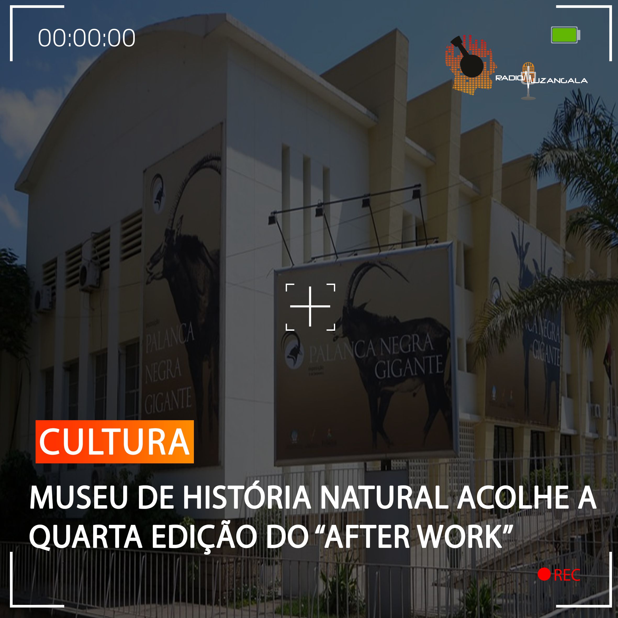 MUSEU DE HISTÓRIA NATURAL ACOLHE A QUARTA EDIÇÃO DO “AFTER WORK”