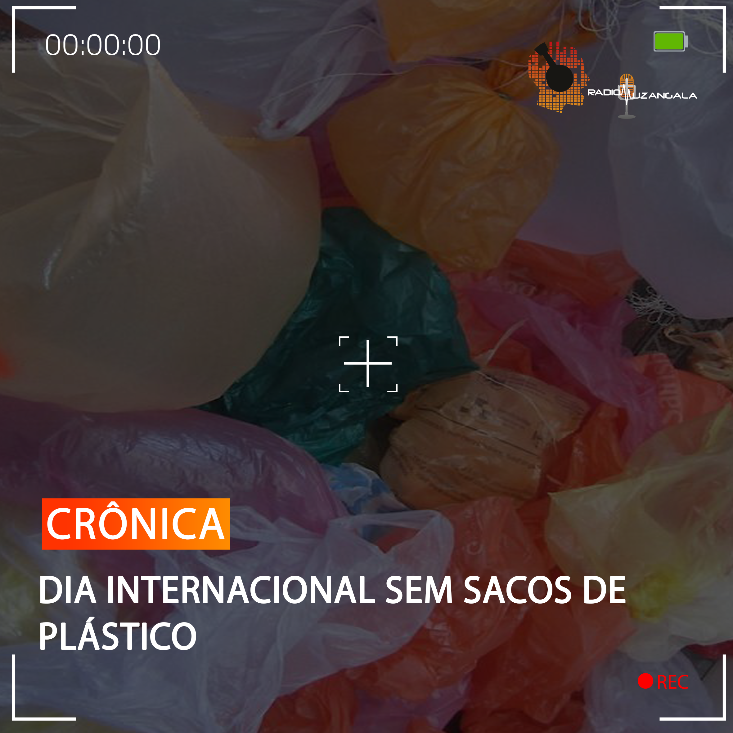 DIA INTERNACIONAL SEM SACOS DE PLÁSTICO